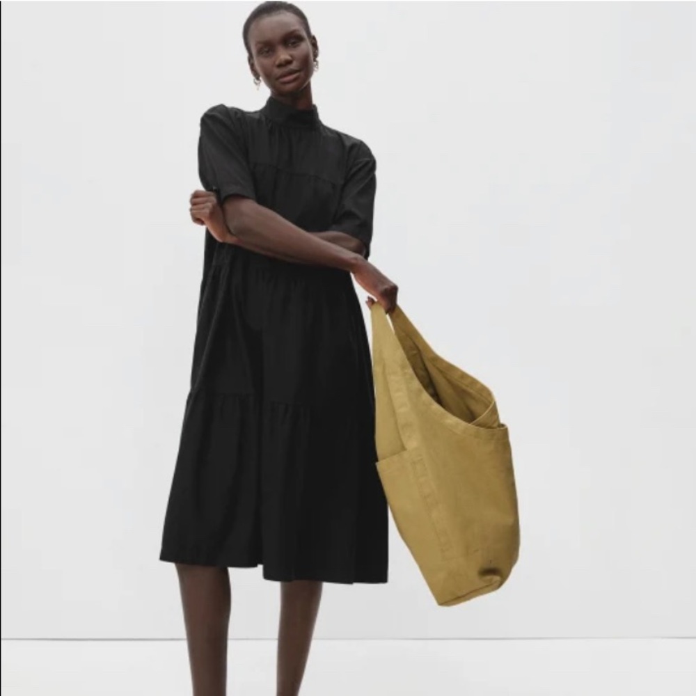 EVERLANE Tiered mock neck dress. Worn once!